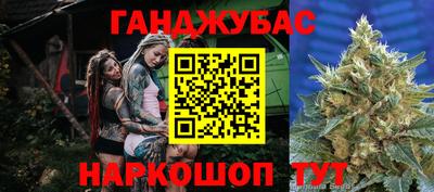 амф Новодвинск
