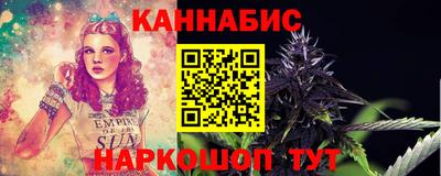амф Новодвинск