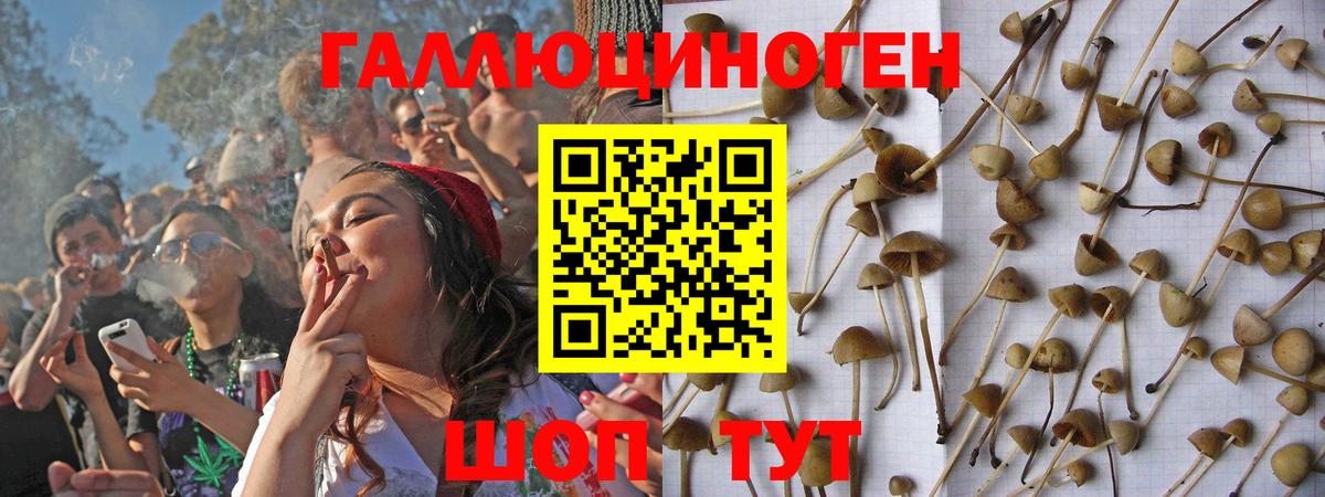 Галлюциногенные грибы мухоморы Тулун